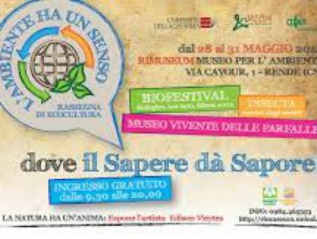 625f9d1bdf77e1f88dfe14588730f66b