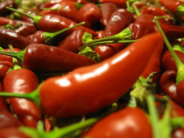 63503204d18160dd6a733e989b70c404