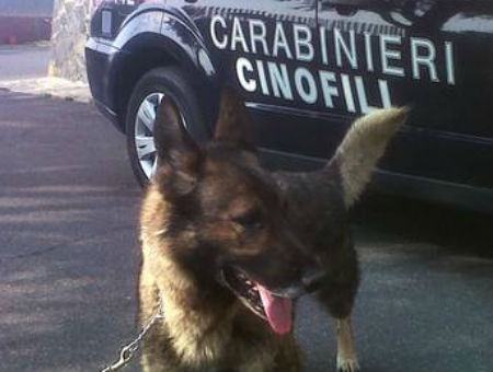 6376a76933eb420bec098da667050126