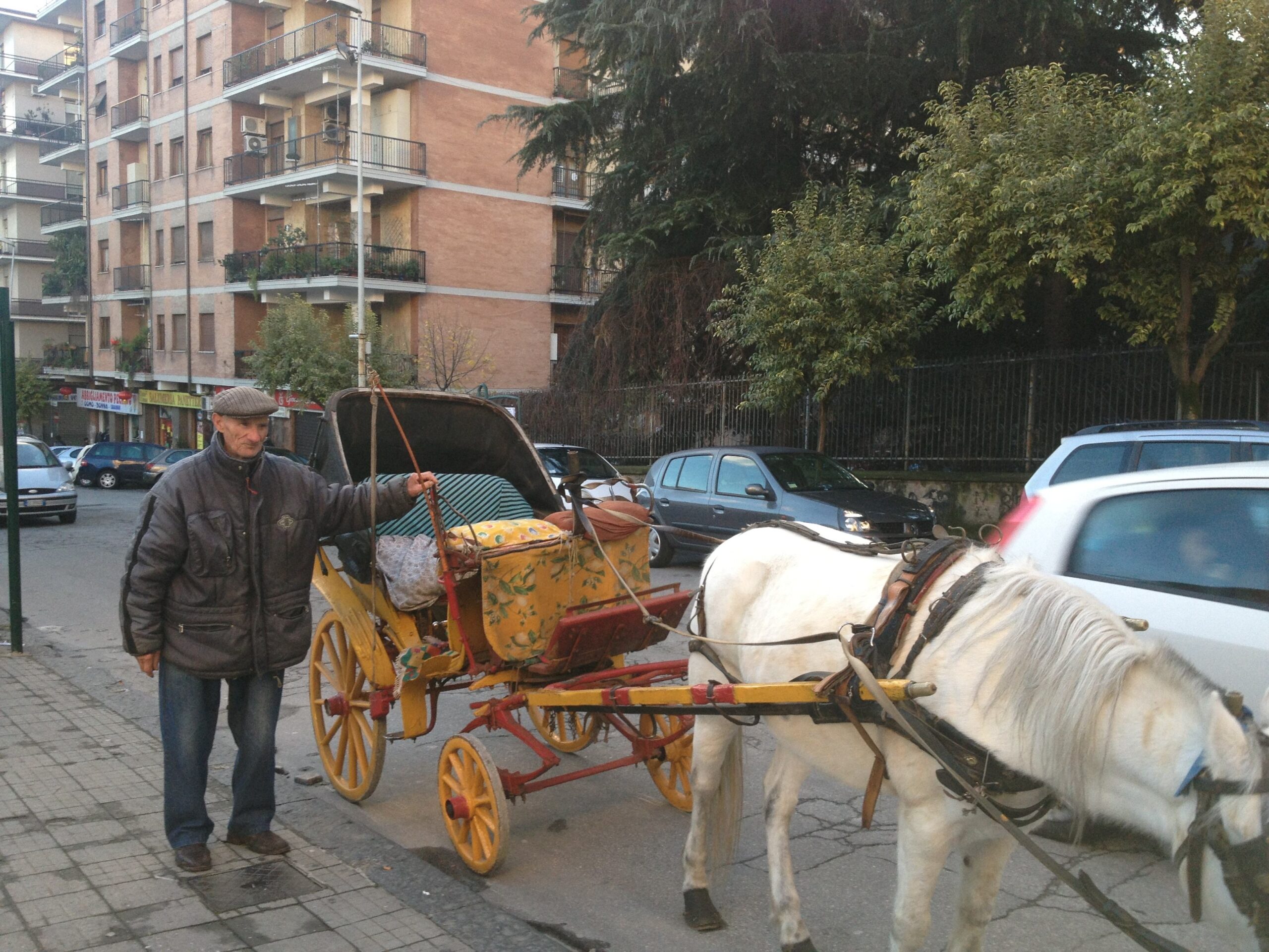 63daee459d7ea7df020c27bdb9b1c065 scaled