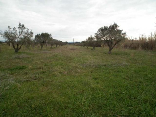 65501ee459bdd33ea5bd12adedf60673