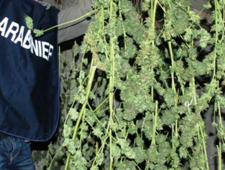 656e0392501f961c9c916ba73e86089f