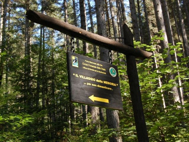 65a921e73627d526b67bc9bab8edfafc