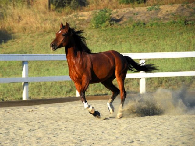 65ae5f02870b77a274705a8f9a06ab5b