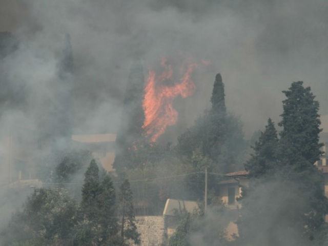 65d767a7bbece548e236252335acd971