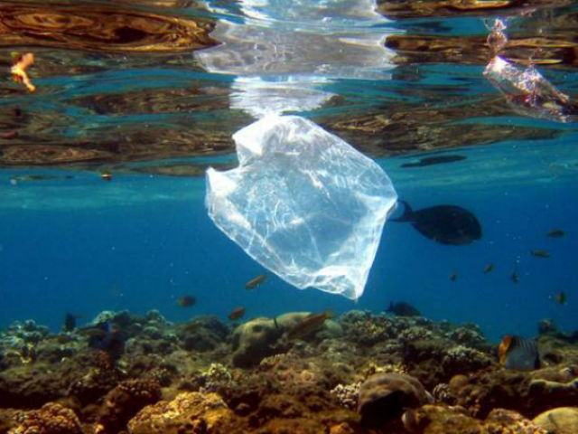 65eb99de7f31e7479a8853734ca0c7ac