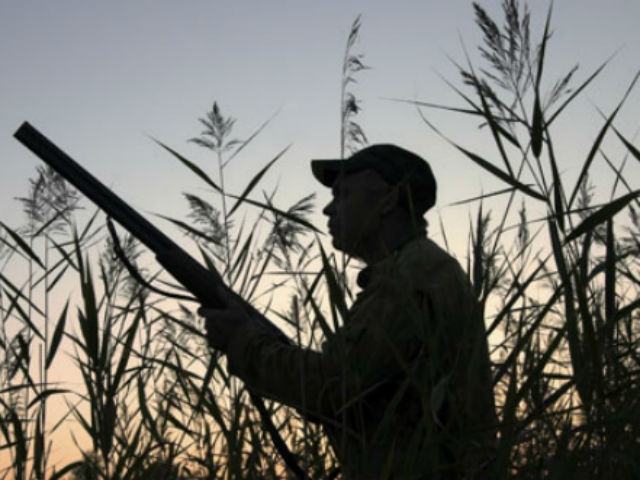 65f9e26adfed56dae9cdc7913209c3fe