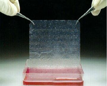 65fbfc5ecfc0a6046c2852dadf3c2834