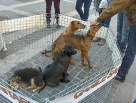 66db0da56aa2ffdb291f9af3242f4601