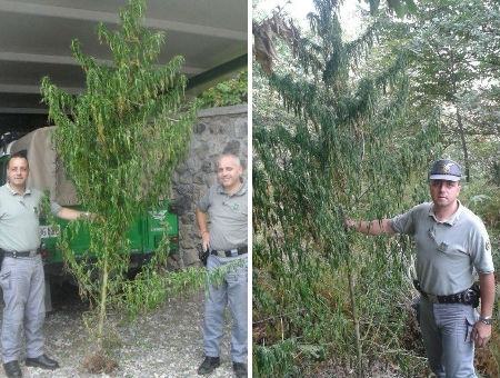 66f04b2afc5b15a215e37bdeee6be14c