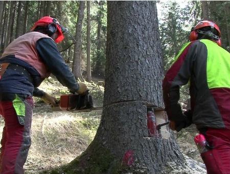 67ee6539baa0e49e9f914c77b50fcfa4