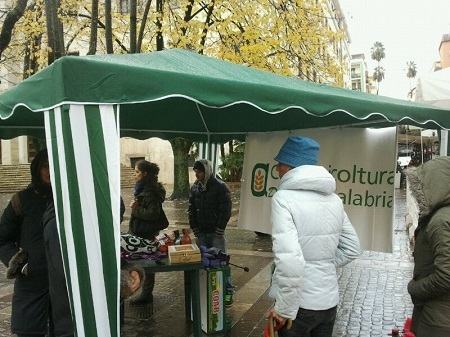 68439c7589a67acab540d6749a3c9559