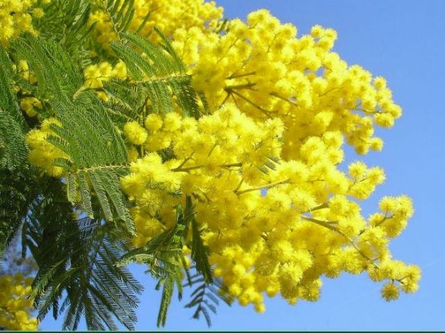 68f916d27796bf55b0af38032584ef2b