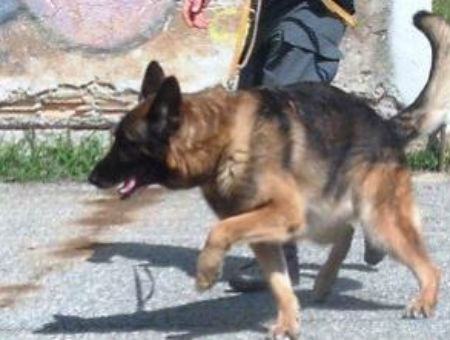 6ab00713136ed23966d41e9d390e30ce