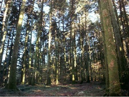 6b16fdb01bd4b3abb441c868bafc2498