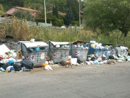 6b6443717ca6c37316c73d7396e58306