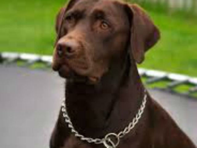 6d13258edc0e0de40f320e18fc68fa06