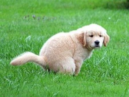 6d6546f68dae573d68f7b6e99c2bfa19