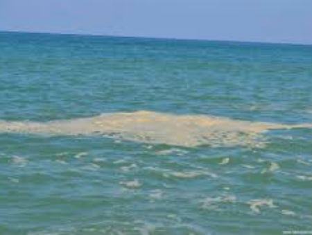 6d8b696219dd4931f67952268a400803