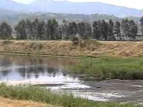 6e305ea7f28e67f18bc9a0f3f38ead71