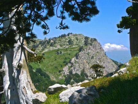 6e75b7e5f4c5b78234bea47287b2a82b