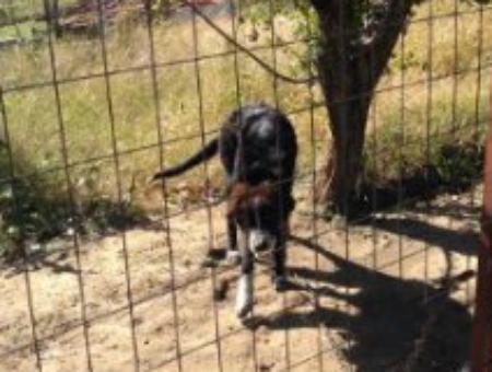 6f37b1738e35a453d32e0d899ef74d02