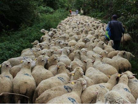 6f8fcda6bd385aa02b34590c17bec639