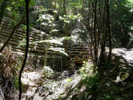 6fc2bb70aafbba4de37b3e59b52890fb