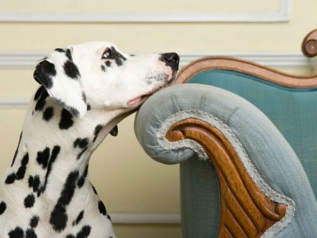 6fea5c4b1fab94f3aac037afc504df8a