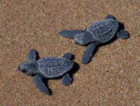 7083c25dc5447d75913f62b911c4eba3