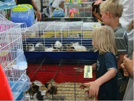 7324bda9783091abc936dcbb555cb126