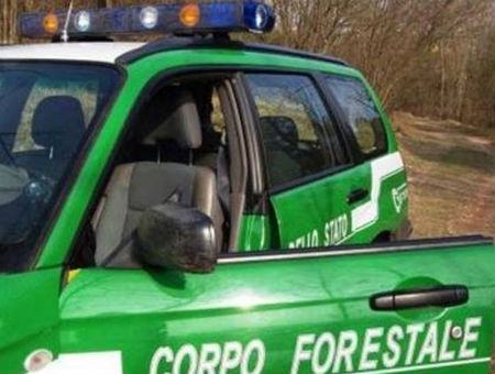 736211dfc75b68fb05fb8491b204ebb0