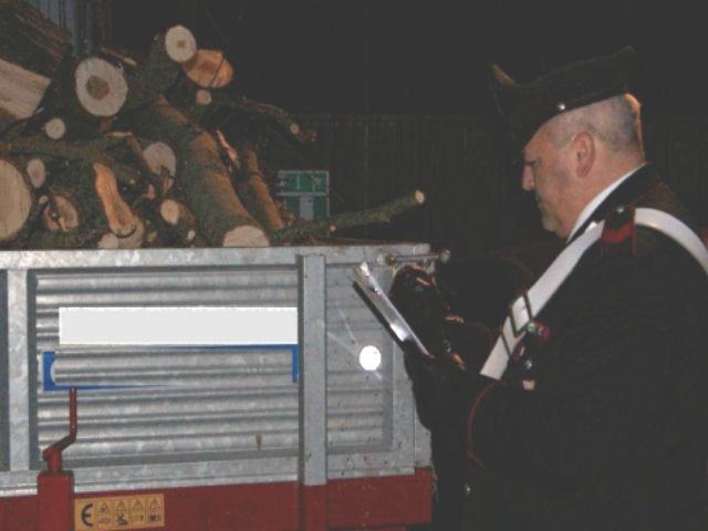 73db0acf4a4b28302219bb31803d0011