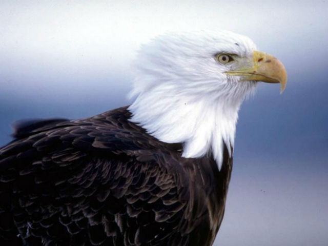 74b70e117240790040e9a0b48f4f91c3