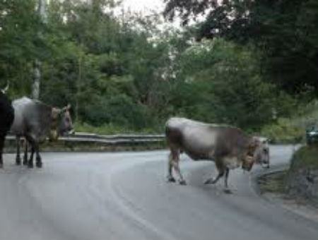 7539ee9a89b99e1410c88d6eef0487e4