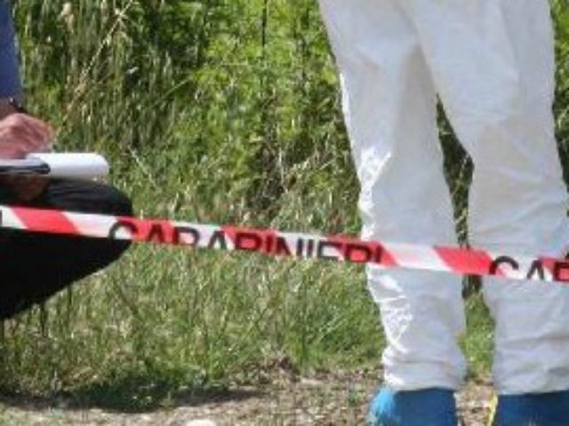 7872ee287c621a003c9cb6b836474c53