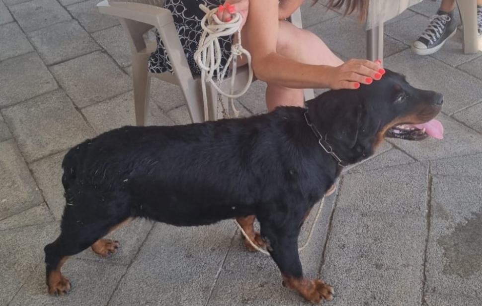 787a60cf c345 4094 ab49 63ef266242ab 2