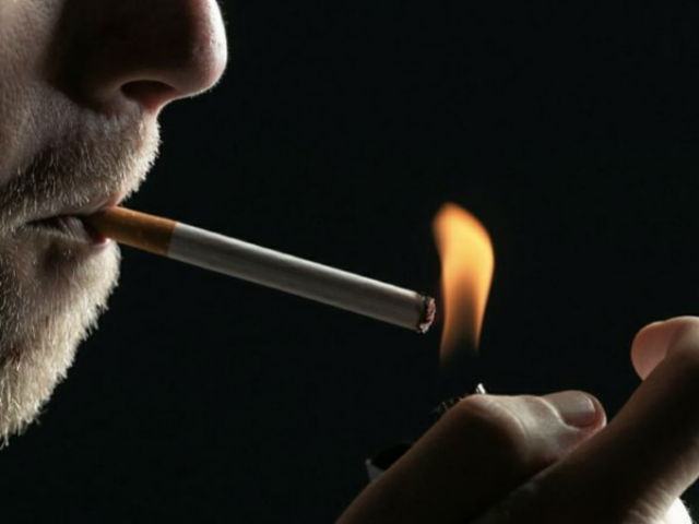 7998aff4441fd91265d0d9d781a80109