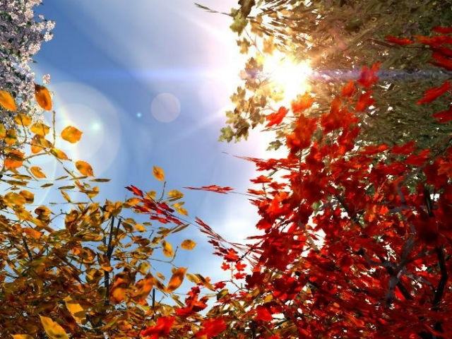 Cosenza:Fiera d'Autunno 51 7a49390e78b180e68429a1d007f1e3d3