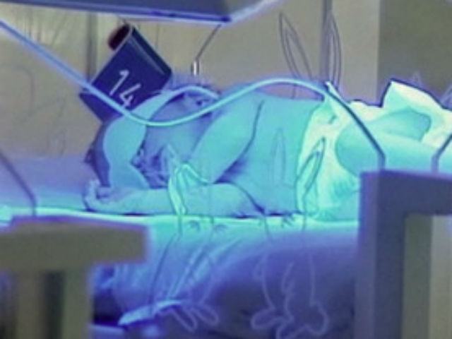 7a7a1b5b62bd91f168816ae073e91b87