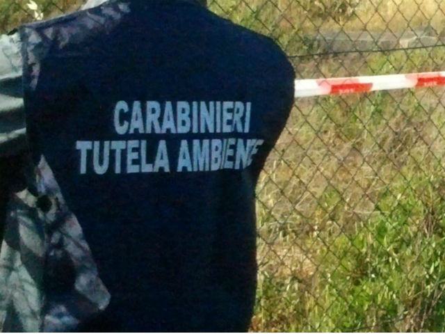 7bd0060c9533bc8072ba2681248d5567