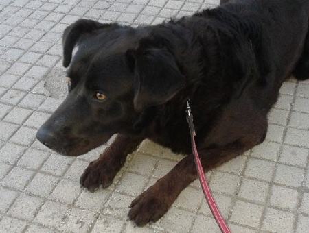 7c5db31e019ed5e30d3fcbd08d5f8961