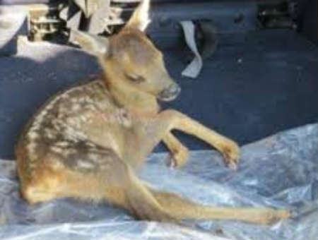 7c78e81673f584f42ebefd9fa89415f3