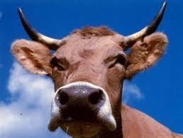 7c7ab8950d5a431fa530001d8b1348c6