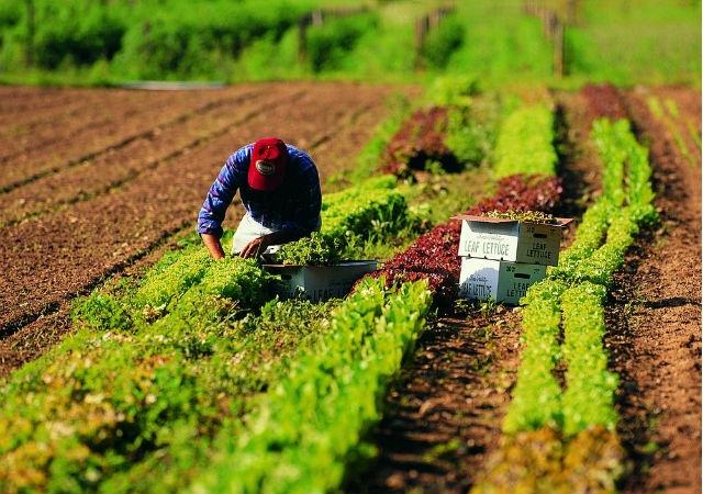 7ce5ad80bdaed46a15b7d5e1511d4372