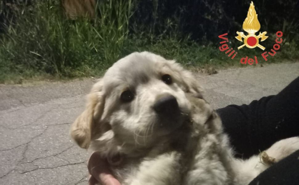 7ebcdef3 0377 48b8 8f0d 56f535bfccbf 1