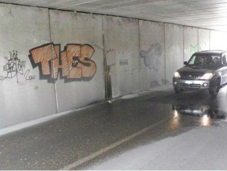 7ef89e46ae81db9465d33b045e165303