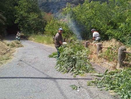 7f0230fb4a1f1a8ebd0698a6bb5d2ddf