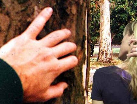 808ceeb42ae1532ab9bf31d259dd8d8c