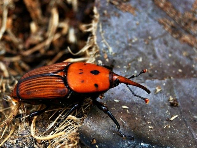 81f463b43bf616b2e3c65de8d4e8ff45